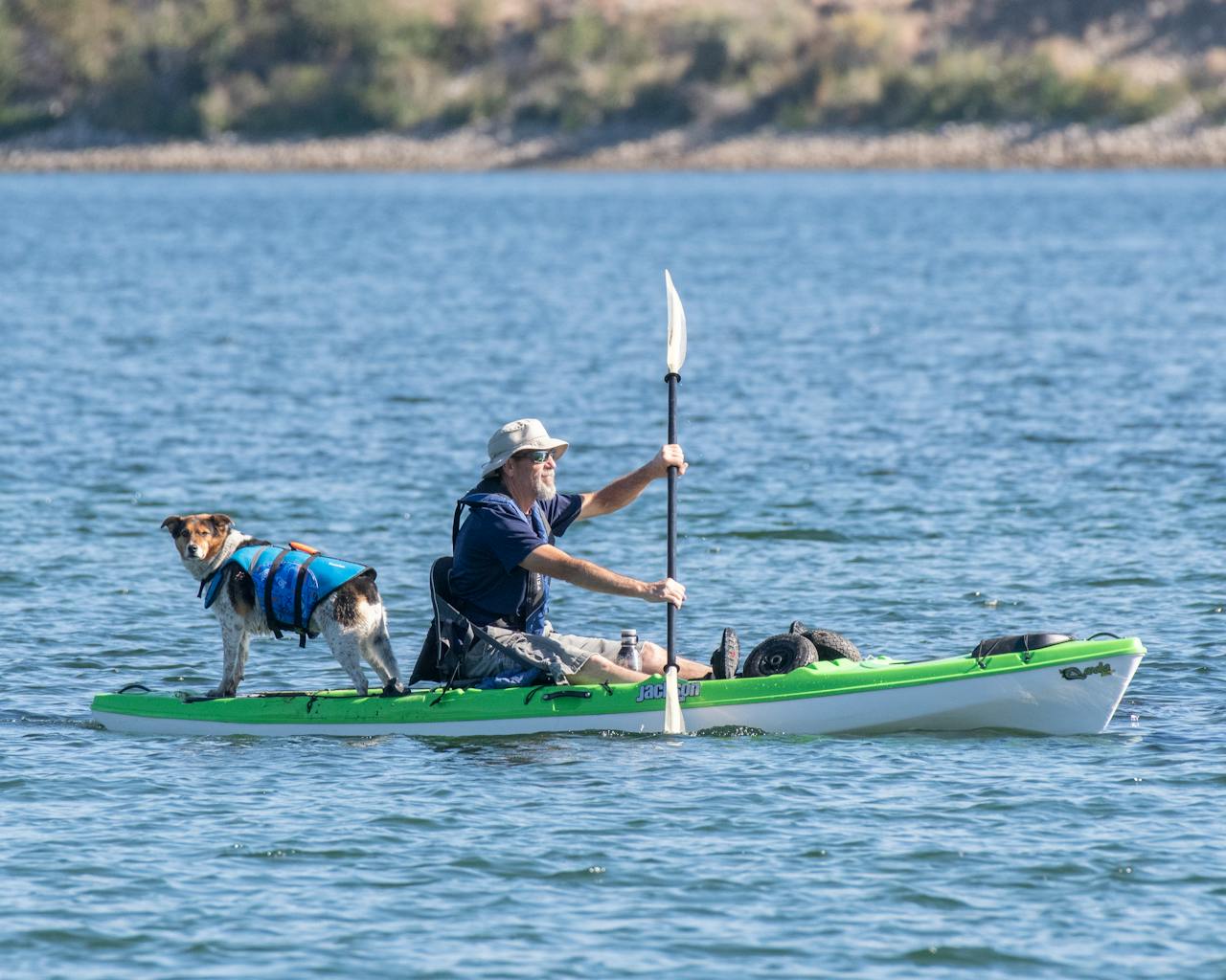 Canoë avec un chien